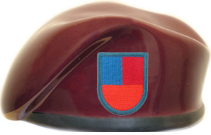 173rd Airborne Brigade Combat Team Ceramic Beret with Flash 